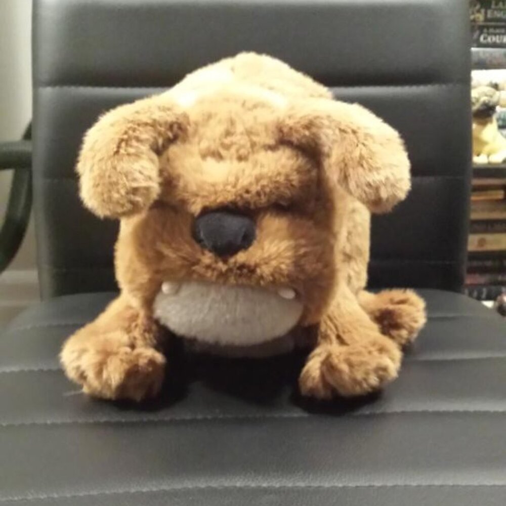 Jellycat Derreck Dog (NWT)